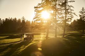 Image result for Guildford Gold Club