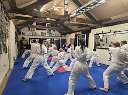Image result for Chikara Dojo Of Kyokushin Karate