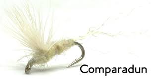 Attēlu rezultāti vaicājumam “Heptagenia sulphurea female”