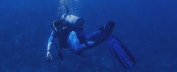 Image result for Banbury Sub Aqua Club