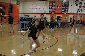 Image result for Cegelec Badminton Club
