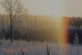 Kuvahaun tulos haulle haloilmi