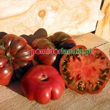 Afbeeldingsresultaat voor purple calabash tomato