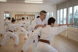 Image result for Independent Wadoryu Karate Federation
