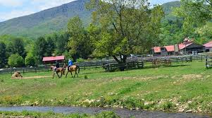 Image result for Greenways Riding Stable Lower Eashing
