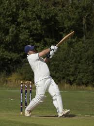 Image result for The Rayleigh Cricket Club