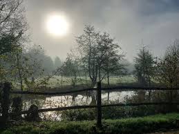 Image result for Ramblers Association - Mole Valley Group