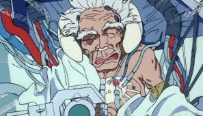 Image result for roujin z