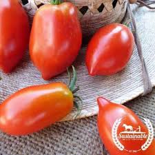Afbeeldingsresultaat voor amish paste tomato