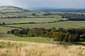 Image result for Dunstable