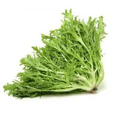 Image result for Chicorée