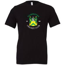 Image result for Gilberdyke Cricket Club