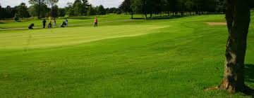 Image result for Carlow Golf Club