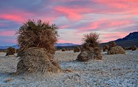 Image result for Dearne Valley Devils