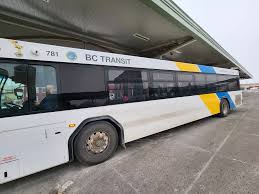 Image result for Fern Gray 1973 Jaguar