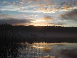 Image result for Penketh & Old Hall Angling Society