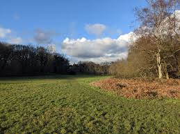 Image result for Mid Surrey Ramblers