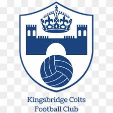 Image result for Kingsbridge Rugby Football Club