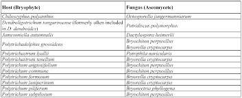 Attēlu rezultāti vaicājumam “Octosporella jungermanniarum”