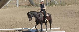 Image result for Lakes Riding Club