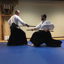 Image result for Kyoku Kenjutsu Kai
