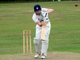 Image result for Brixham Cricket Club