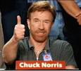 Chuck Norris Endorses Newt