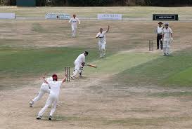 Image result for South Wilts Cricket Club