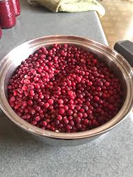 Attēlu rezultāti vaicājumam “Oxycoccus bud”