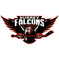 Image result for Mid Surrey Ladies Hockey Club