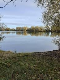 Image result for DRAYTON ANGLING CLUB