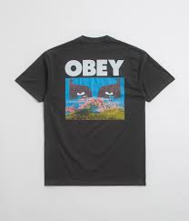 Image result for +obey +gravity t-shirt