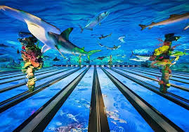 Image result for Seamer Bowling Club