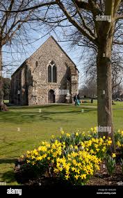 Image result for Chichester Priory Park Cc