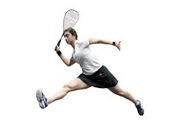 Image result for Waverley Lawn Tennis Squash and Sports Club