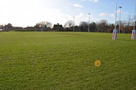 Image result for Grasshoppers Rfc