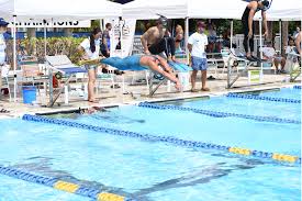 Image result for Swansea Finswimming Club