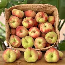 Image result for donut peach