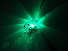 Image result for Calshot Sub-Aqua Club