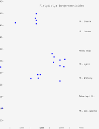 Attēlu rezultāti vaicājumam “Platydictya jungermannioides”