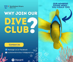 Image result for Southdown Divers