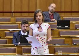 Image result for dúró dóra