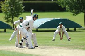 Image result for Burwell Cricket Club