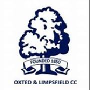 Image result for Cranleigh St Andrews Cricket Club