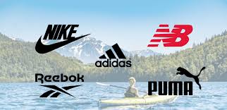 Image result for Liverpool Lizards Speedminton Club