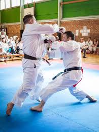 Image result for Kyomeikai Karate Club