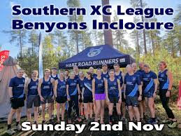 Image result for Runnymede Runners