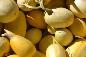 Attēlu rezultāti vaicājumam “Cucurbita pepo fruit”