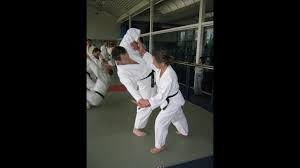 Image result for Aikido Rickmansworth