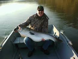 Image result for Newhaven Deep Sea Anglers